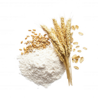 Close-up of wheat grains, flour, and wheat stalks showcasing natural ingredients. png