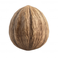 A close-up of a walnut shell showcasing its textured surface and natural colors. png