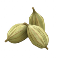 Three green cardamom pods arranged together showcasing their unique texture. png
