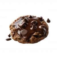 Delicious chocolate chip cookie with melted chocolate on top, perfect for dessert lovers. png