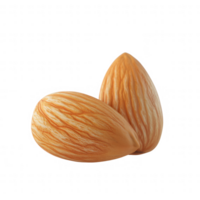 Two fresh almonds with natural texture and color, perfect for healthy snacks. png