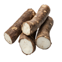 Fresh, raw cassava roots isolated on white background for culinary uses. png