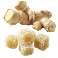 Fresh ginger root and candied ginger pieces on a clean surface. png