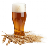 A refreshing glass of beer with golden color and wheat grains beside it. png