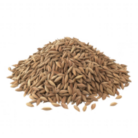 A close-up view of a pile of aromatic cumin seeds on a white background. png