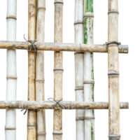 A close-up view of bamboo structures showcasing their natural texture and color variations. png