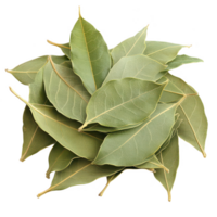 A close-up of fresh bay leaves, showcasing their vibrant green color and unique texture. png