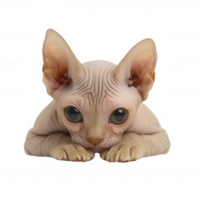 A close-up view of a curious Sphynx cat with large eyes and a unique expression. png