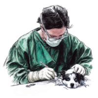 A veterinarian performing surgery on a dog in a sterile environment. png