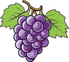 Purple grape cluster with green leaves on a white background vector
