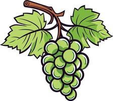Fresh green grapes hanging from a vine with vibrant leaves vector