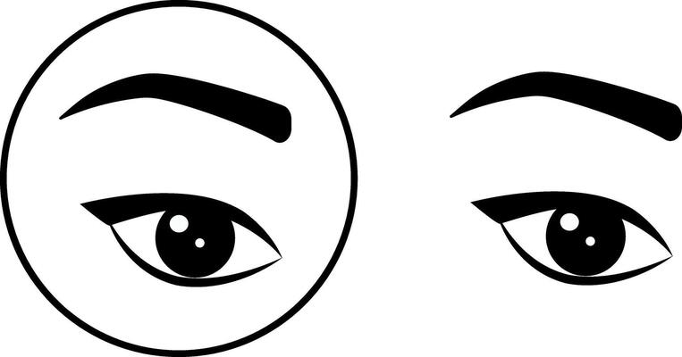 An icon of charming female eyes with eyebrows and eyelashes.The icon of eyes, long eyelashes and eyebrows.A black on a white background.For design, cosmetology, infographics.