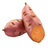 sweet potato isolate on transparent background png