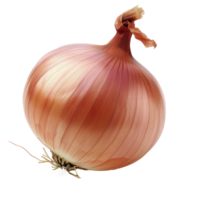 a simple plain, stand-alone Onion full image, pixar style, vivid color, transparent background png