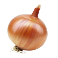 a simple plain, stand-alone Onion full image, pixar style, vivid color, transparent background png