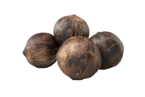 real Coconuts, 3D octane rendering, no shadow, isolated transparent background png