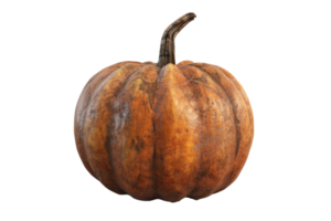 big and beautiful brown Pumpkin, on transparent background png