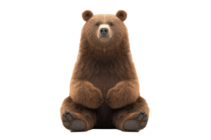 A friendly bear sitting facing forward, on a transparent background png