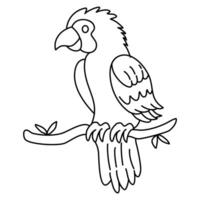 Cartoon parrot on a branch. Black and white linear drawing vector