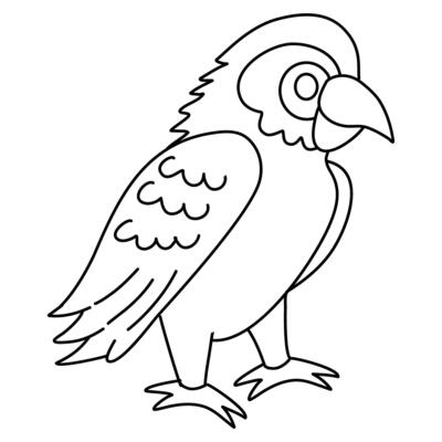 Cute cartoon macaw parrot. Black and white linear drawing illustration