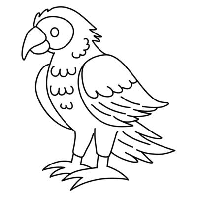 Cute cartoon macaw parrot. Black and white coloring page