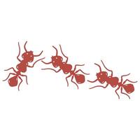 illustration of a colony of worker ants walking in the same direction vector