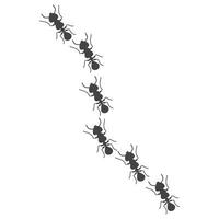 illustration of a group of worker ants walking together vector