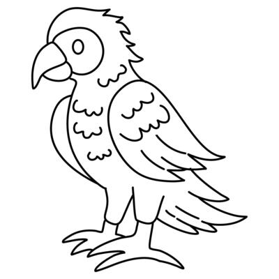 easy cartoon parrot coloring page line art