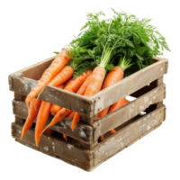 A crate of Carrot on transparent background png