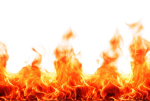 Fire flame in line coming from bottom photorealistic high quality isolated on transparent background png