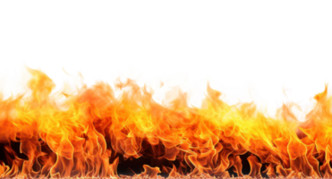 Fire , elevation side view , isolated on transparent background png