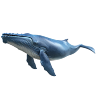 humpback whale isolate on transparent background png