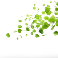 Green leafs falling, depth field isolate on transparent background png