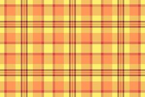 Detailed plaid pattern for fabric, perfect for upscale ga vector
