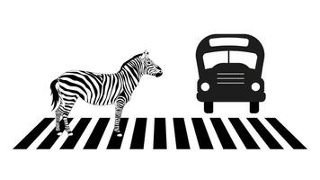 Zebra crossing at the crosswalk vector