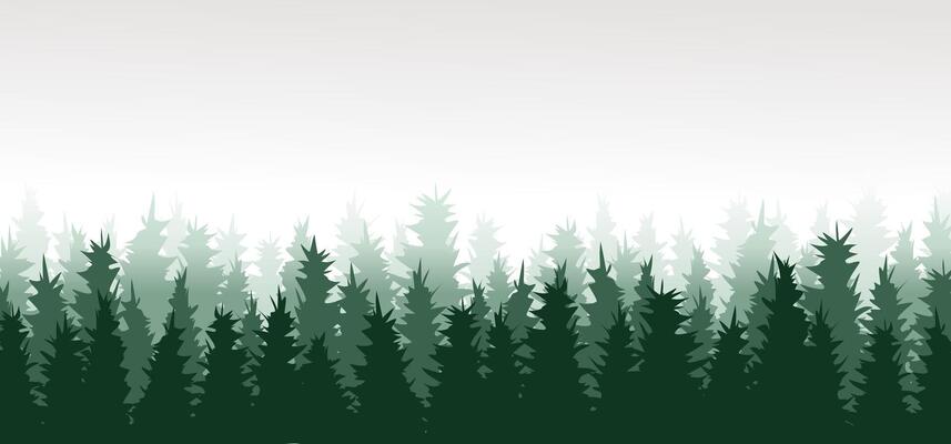 Forest background, nature, landscape. Evergreen coniferous trees. Pine, spruce, christmas tree. Silhouette pines.