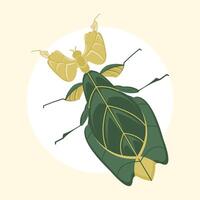 Leaf praying mantis vector