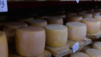 View to the cheese-wheels of parmesan maturing on wooden shelves at the cellar of the cheese factory. Cheese production workshop in a dairy factory video