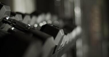 Set of dumbbells placed on rack in gym video
