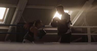 Boxers practicing in attic gym video