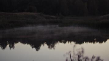 Calm reflecting water lake with shadows of trees in twilight video