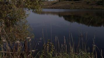 Rippling lake water with shade of trees in sundown light video
