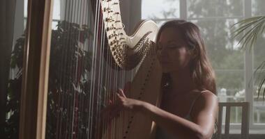 Graceful female harp player performing music in studio with obscure light video