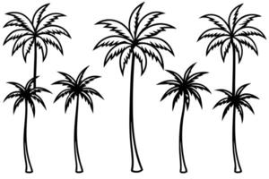 Palm Tree Simple Line Art Illustration Designs Techniques vector