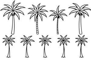 Palm Tree Unique Line Art Illustration Examples vector