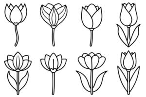 Tulip Flower Line Art Illustration Tutorials vector