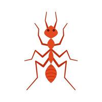Ant character . Ant on white background. vector