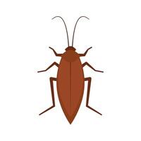 Cockroach . Cockroach on white background. vector