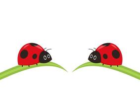 Ladybug on leaf. wallpaper. free space for text. background. symbol. ladybug on white background. vector