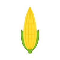 Corn isolated .halves and grains in different angles on a white. Corn . vector